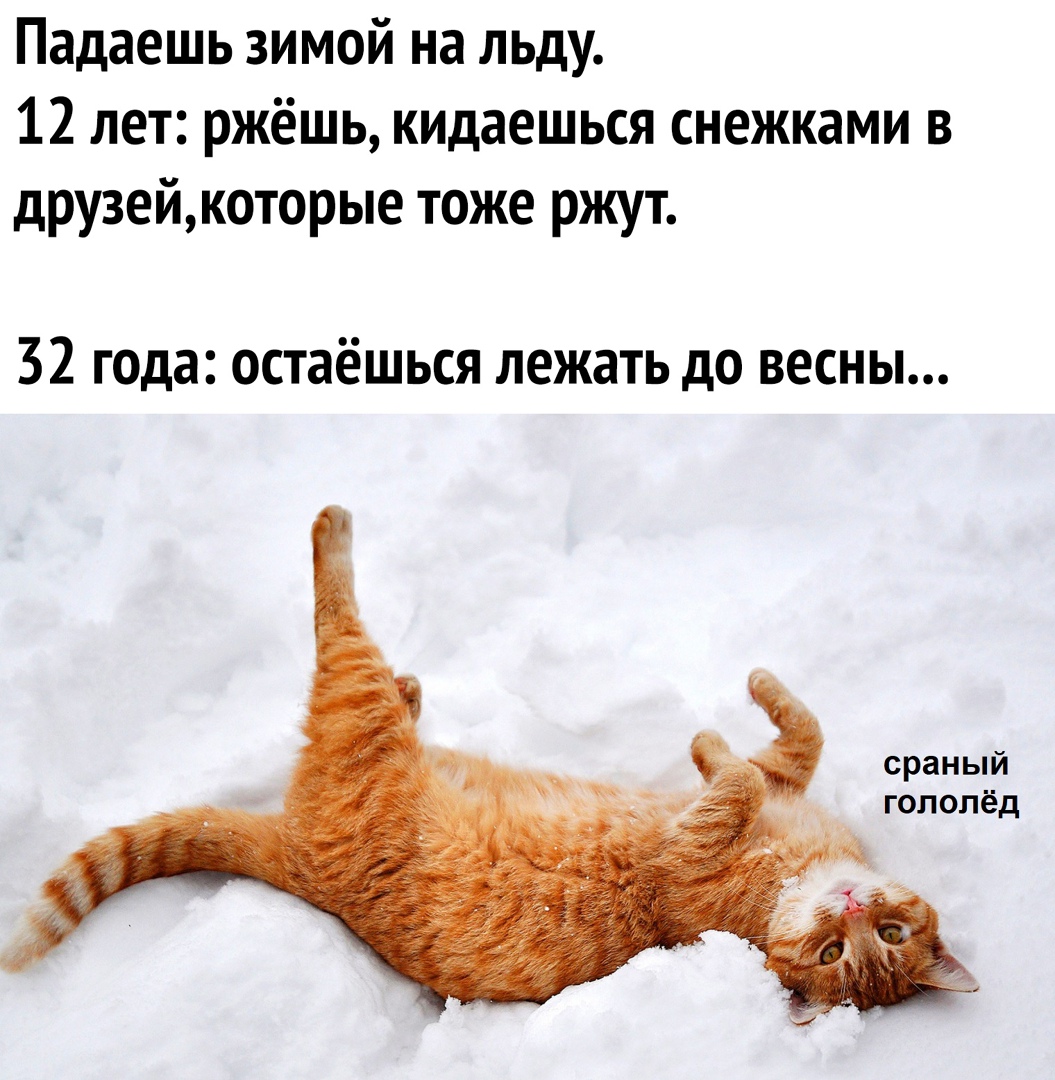 Падаешь зимой на льду 12 лет ржёшь кидаешься снежками в друзейкоторые тоже ржут 32 года остаёшься лежать до весны сраный гопопёд