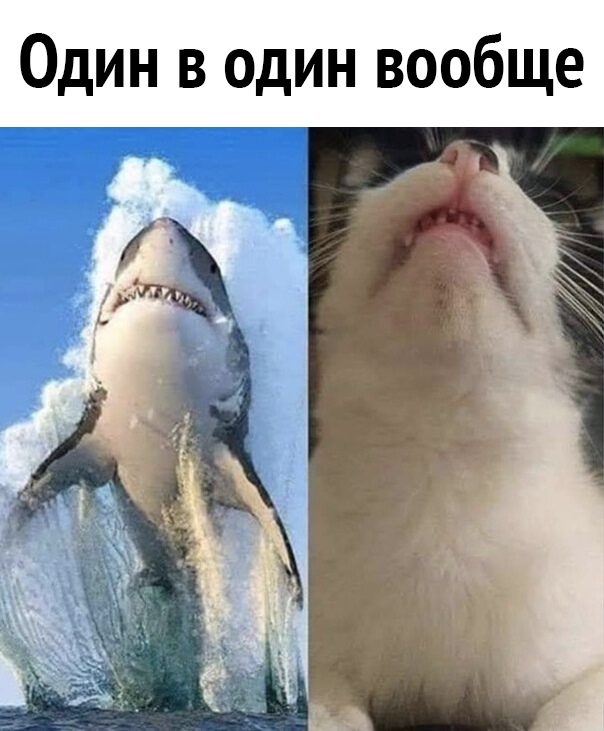 Один в один вообще