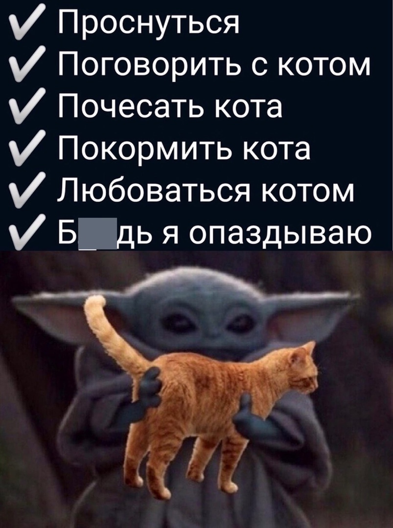 Проснуться Поговорить с котом Почесать кота Покормить кота Любоваться котом БГдь я опаздываю