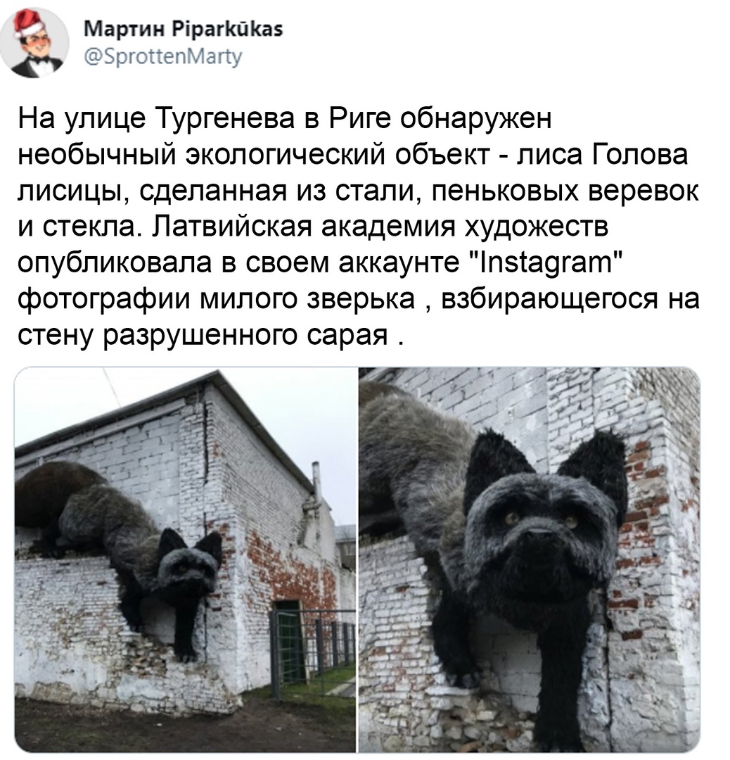 Мартин РірагКйКа ЕёЕргсттепЧах13 На улице Тургенева в Риге обнаружен необычный экологический объект лиса Голова лисицы сделанная из стали пеньковых веревок и стекла Латвийская академия художеств опубликовала в своем аккаунте пзта9гат фотографии милого зверька взбирающегося на стену разрушенного сарая