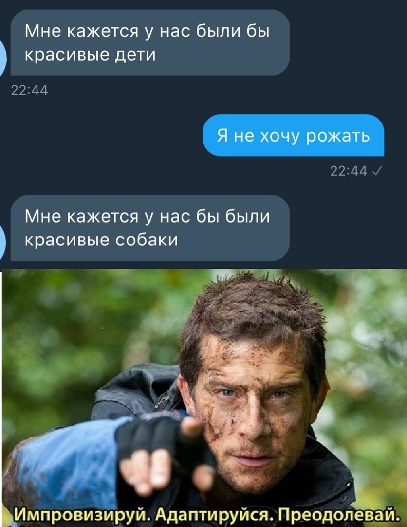 Мне кажется у нас были бы красивые дети 2244 22244 Мне кажется у нас бы были красивые собаки ИМНровизируй Адаптируйся Преодолева_
