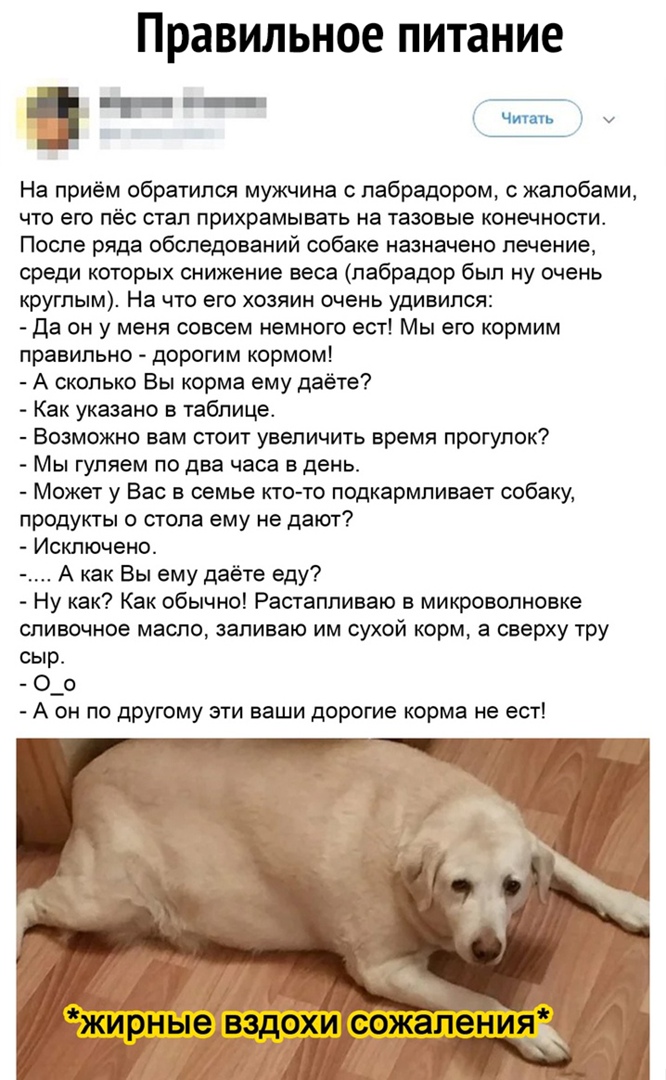 правильное питание _ 1 ч На приём обратился мужчина с пабрадором с жалобами ЧТО ЭГО пёс СТЭП ПРИХРЭМЫВЗТЬ НЭ тазовые КОНЭЧНОСТИ После ряда обследований собаке назначено лечение среди которых снижение веса лабрадор был ну очень круглым На что его хозяин очень удивился да он у меня совсем немного ест Мы его кормим правильно дорогим кормом А сколько Вы корма ему даёте Как указано в таблице Возможно в