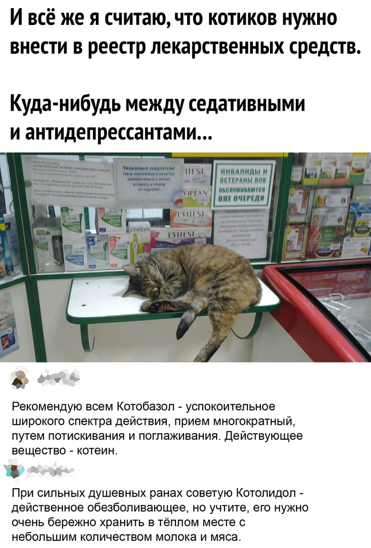 И всё же я считаю что котиков нужно внести в реестр лекарственных средств Куда нибудь между седативными и антидепрессантами Рекомендую всем Котобазоп успокоительное широкого спектра действия прием многократный путем потискивания и поглаживания Действующее вещество котеин г При сильных душевных ранах советую Котопидоп действенное обезболивающее но учтите его нужно очень бережно ХрЭНИТЬ Б ТёППОМ МЕС