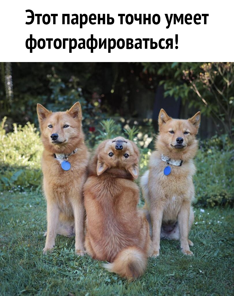 Этот парень точно умеет фотографироваться