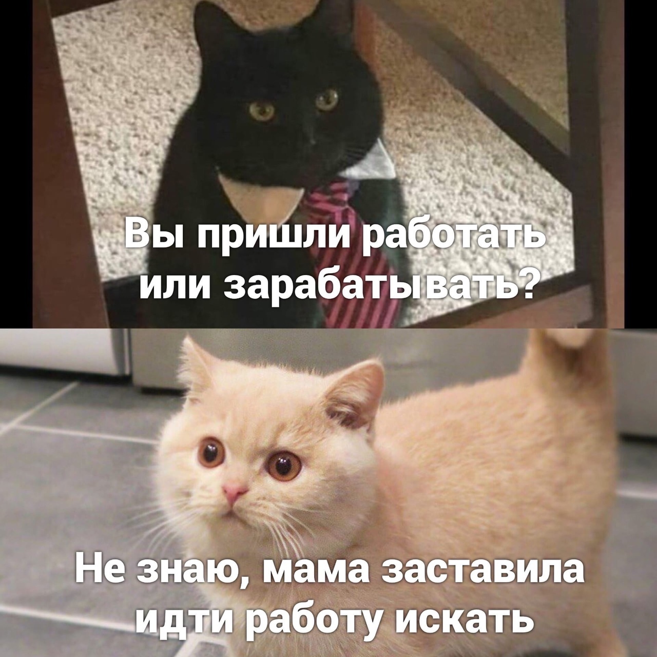ЁКФП эсыдіжта бвтх йаст_ гдэ __ ад