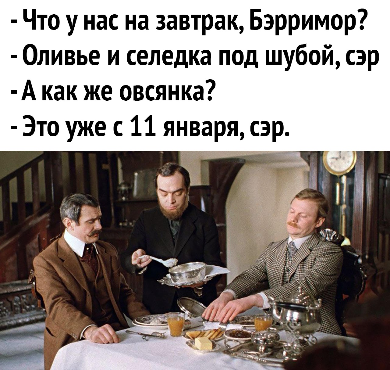 Овсянка сэр картинки