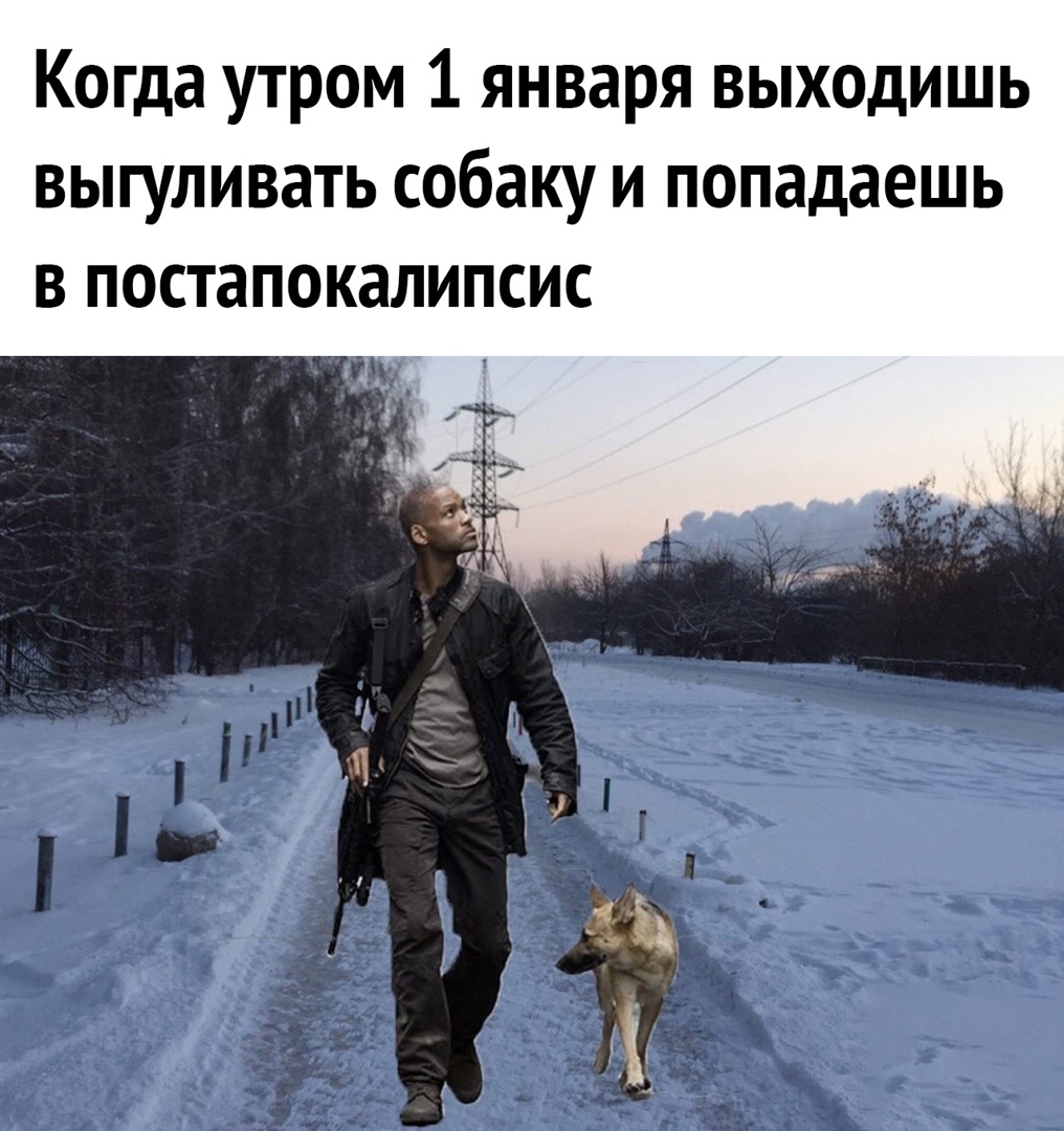 Когда утром 1 января выходишь выгуливать собаку и попадаешь в постапокалипсис ім