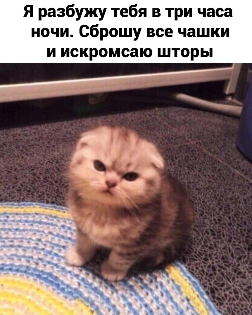 Я разбужу тебя в три часа ночи сброшу все чашки и искромсаю шторы