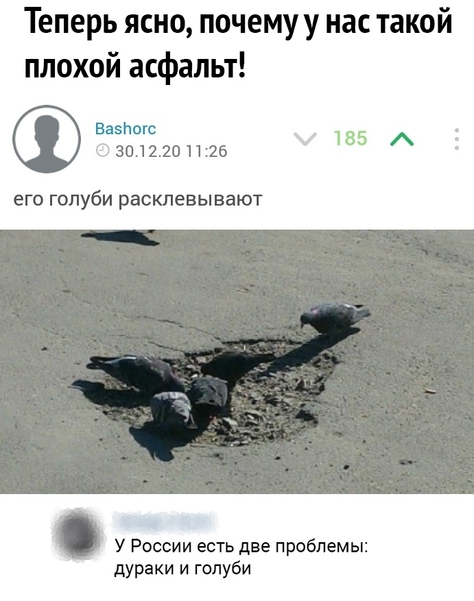 Теперь ясно почемуу нас такой плохой асфальт Вазпогс 301220 1126 его ГОЛУбИ расклевы ВЗЮТ У России есть две проблемы дураки и голуби