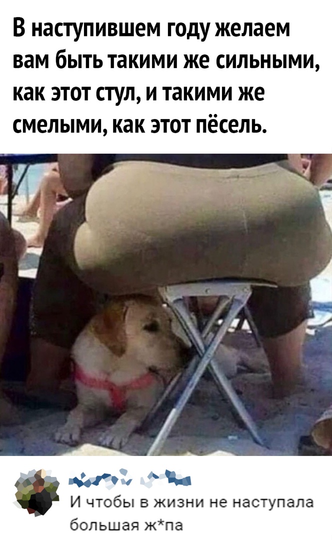 В наступившем ГОДУ желаем вам бЫТЬ такими же СИЛЬНЫМИ как ЭТОТ СТУЛ И такими же смелыми как ЭТОТ пёсель Ъё 1 И чтобы в жизни не наступала большая жпа