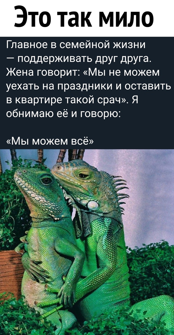 Это так мило Главное в семейной жизни поддерживать друг друга Жена говорит Мы не можем уехать на праздники и оставить в квартире такой срач Я обнимаю её и говорю Мы можем всё