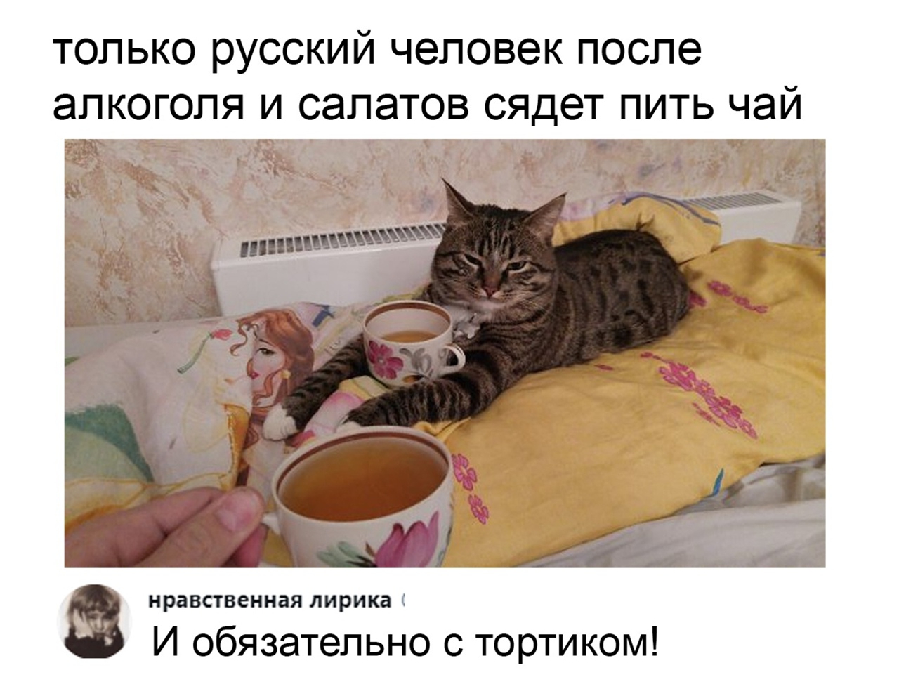 только русский человек после алкоголя и салатов сядет пить чай нравственная лирика И обязательно с тортиком
