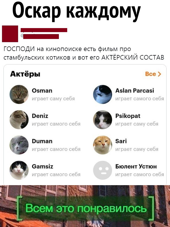 Оскар каждому _ _ ГОСПОДИ на кинопоиске есть фильм про стамбульских котиков и вот его АКТЁРСКИЙ СОСТАВ Актёры Озтап Аап Рагсазі РзіКораі