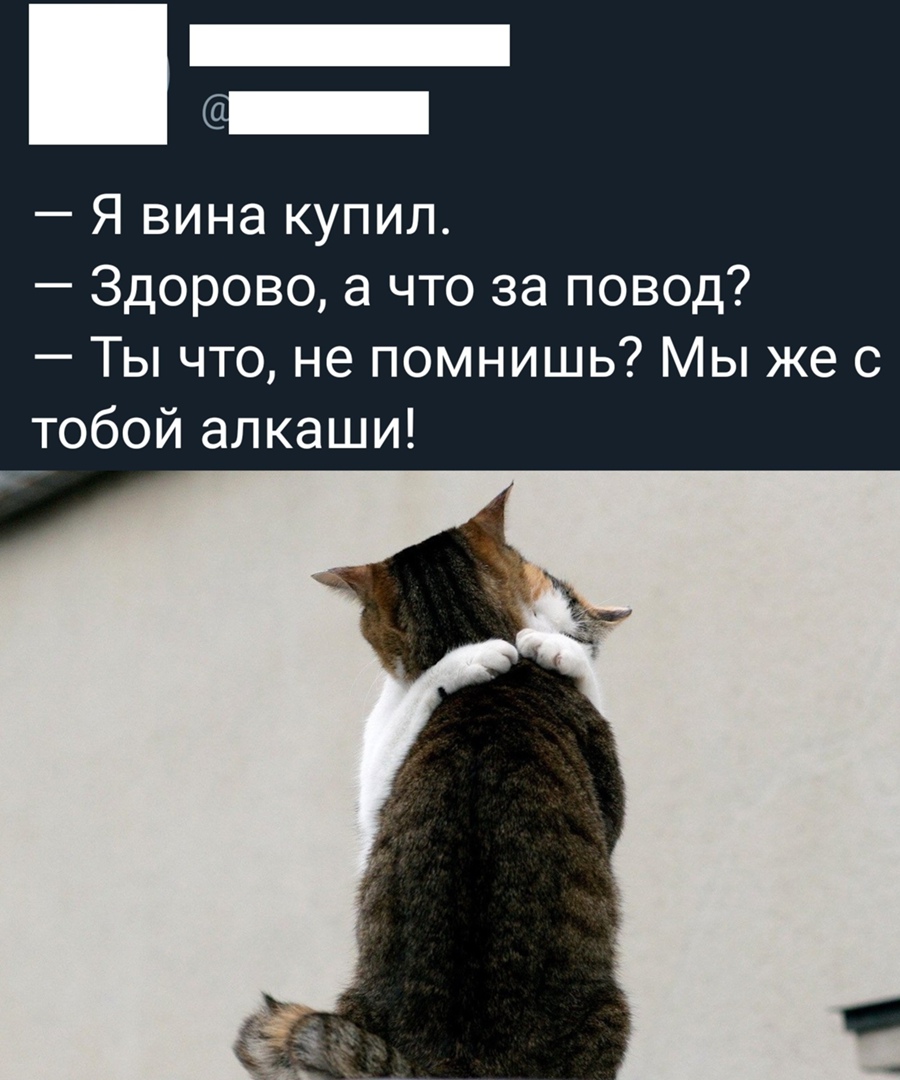 _ Я вина купил Здорово а что за повод Ты что не помнишь Мы же с тобой алкаши в