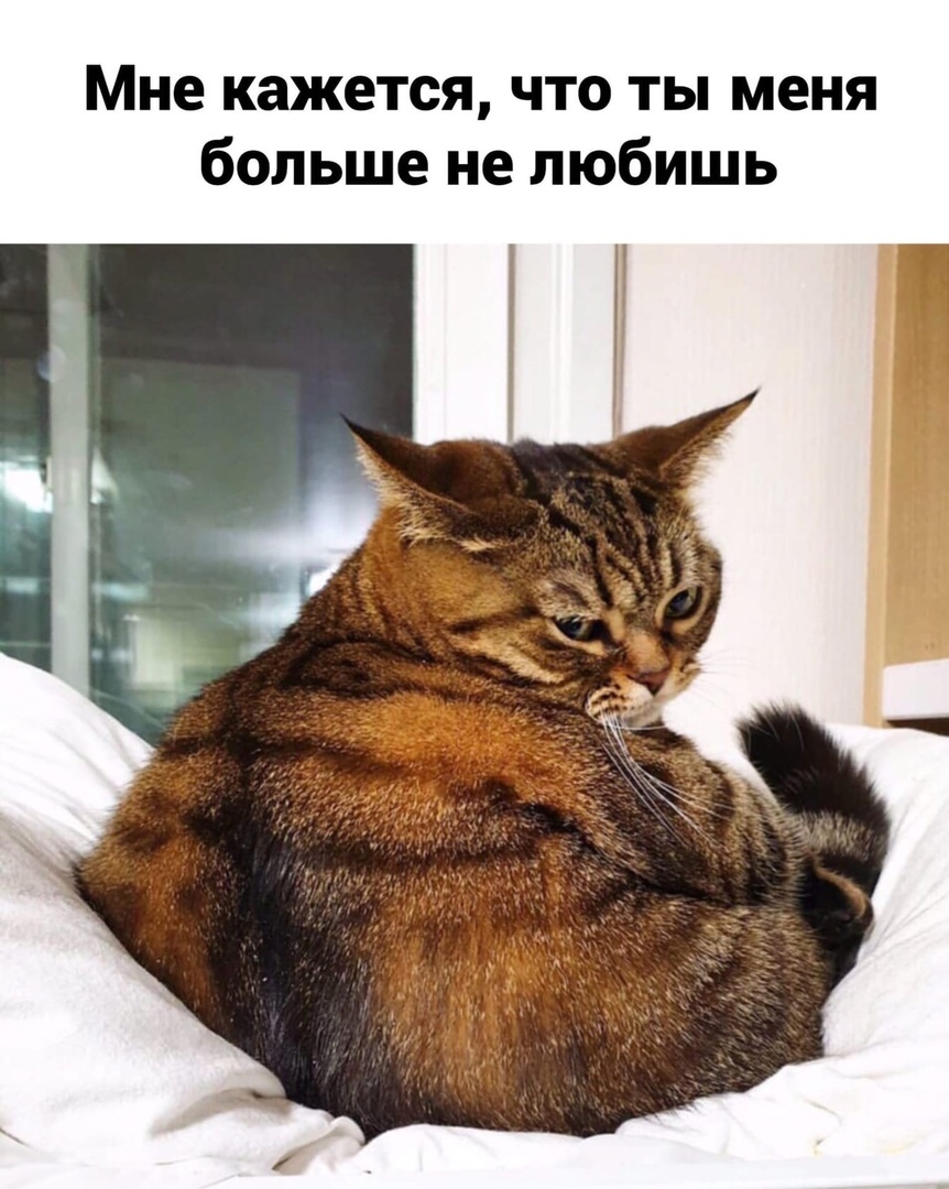Мне кажется что ты меня больше не любишь