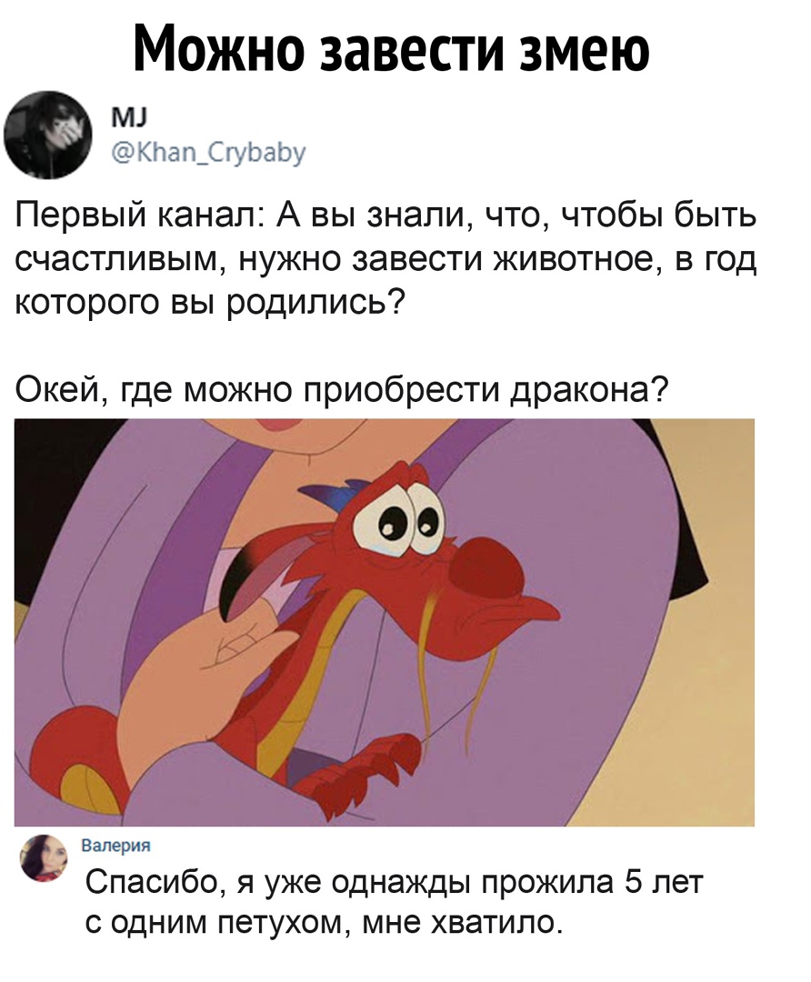 Можно завести змею М кпап_СгуЬаЬу Первый канал А вы знали что чтобы быть счастливым нужно завести животное в год которого вы родились Окей где можно приобрести дракона йтй 77 Валерия Спасибо я уже однажды прожила 5 лет с одним петухом мне хватило
