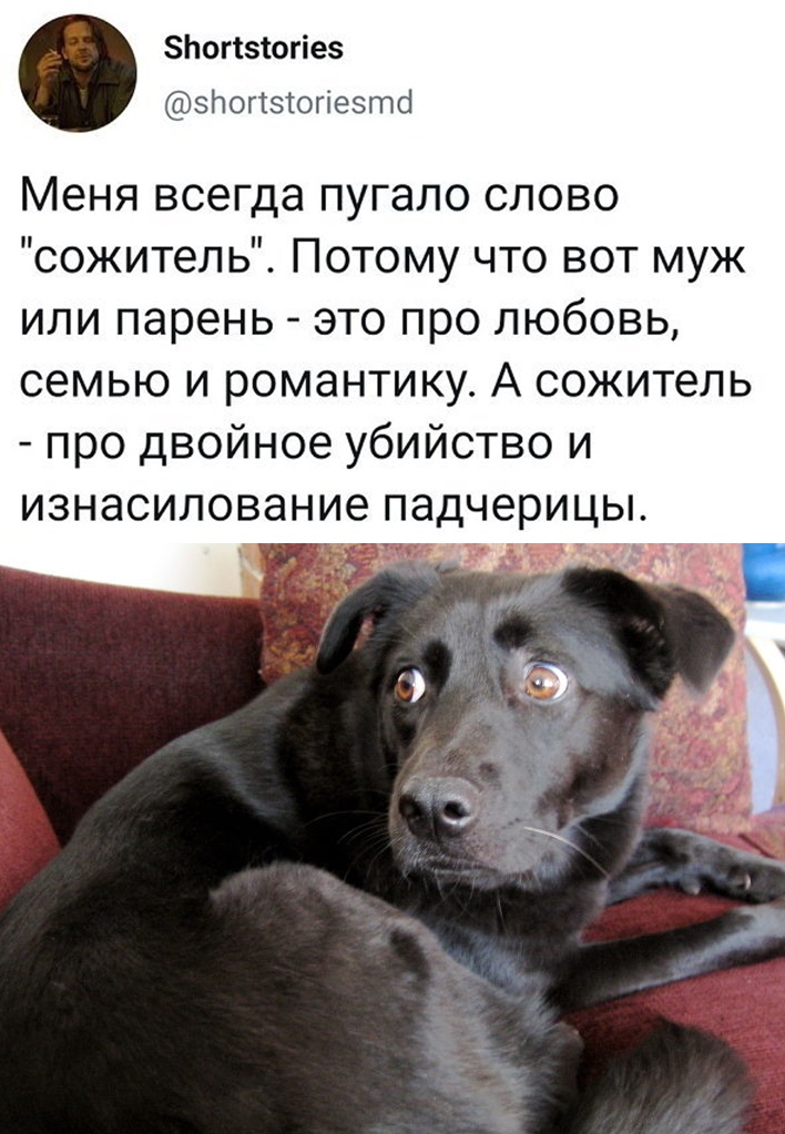 Злогізіогіеэ эНоггэіогіеэто Меня всегда пугало слово сожитель Потому что вот муж или парень это про любовь семью и романтику А сожитель про двойное убийство и изнасилование падчерицы