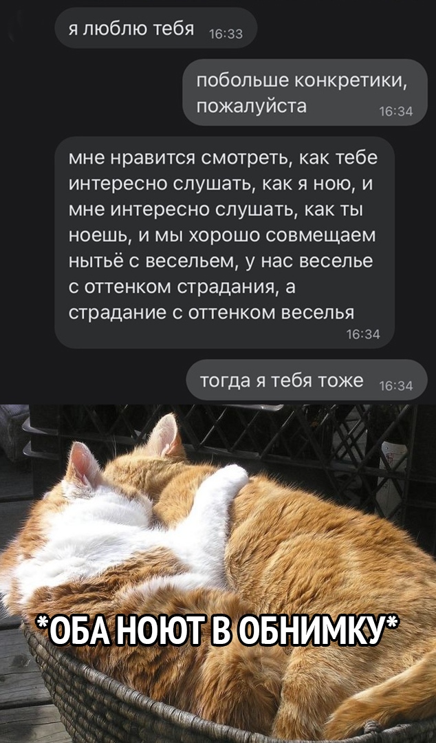 я люблю тебя 1533 побольше конкретики пожалуйста 1634 мне нравится смотреть как тебе интересно слушать как я ною и мне интересно слушать как ты ноешь и мы хорошо совмещаем нытьё с весельем у нас веселье с оттенком страдания а страдание С оттенком ВЭСЗЛЬЯ 1634 тогда я тебя тоже 1634