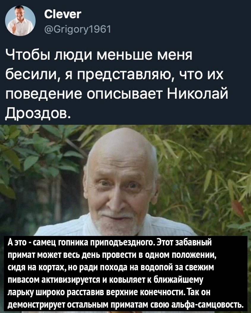 Сечег Огі9огу1961 Чтобы люди меньше меня бесили я представляю что их поведение описывает Николай Дроздов _ АЭТО самец гопника приподъездного ЭТОТ забавный примат может весь день провести В ОДНОМ положении сидя на кортах НО ради похода на ВОДОПОЙ за свежим пивасом активизируется И ковыляет К ближайшему ларьку широко расставив верхние конечностиТак ОН демонстрирует остальным приматам СВОЮ альфа самц