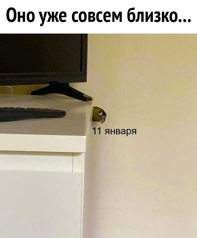 Оно уже совсем близко