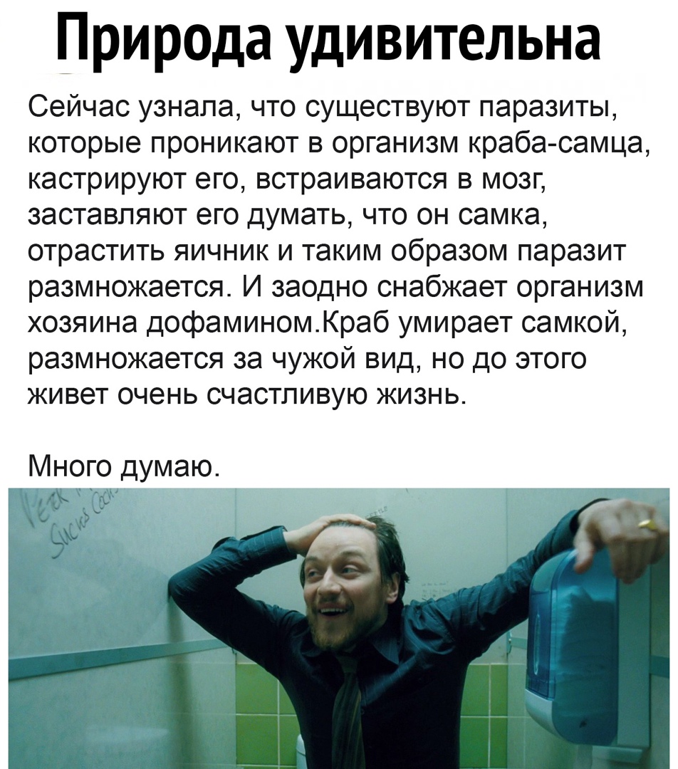 Природа удивительна Сейчас узнала что существуют паразиты которые проникают в организм краба самца кастрируют его встраиваются в мозг заставляют его думать что он самка отрастить яичник и таким образом паразит размножается И заодно снабжает организм хозяина дофаминомКраб умирает самкой размножается за чужой вид но до этого живет очень счастливую жизнь Много думаю