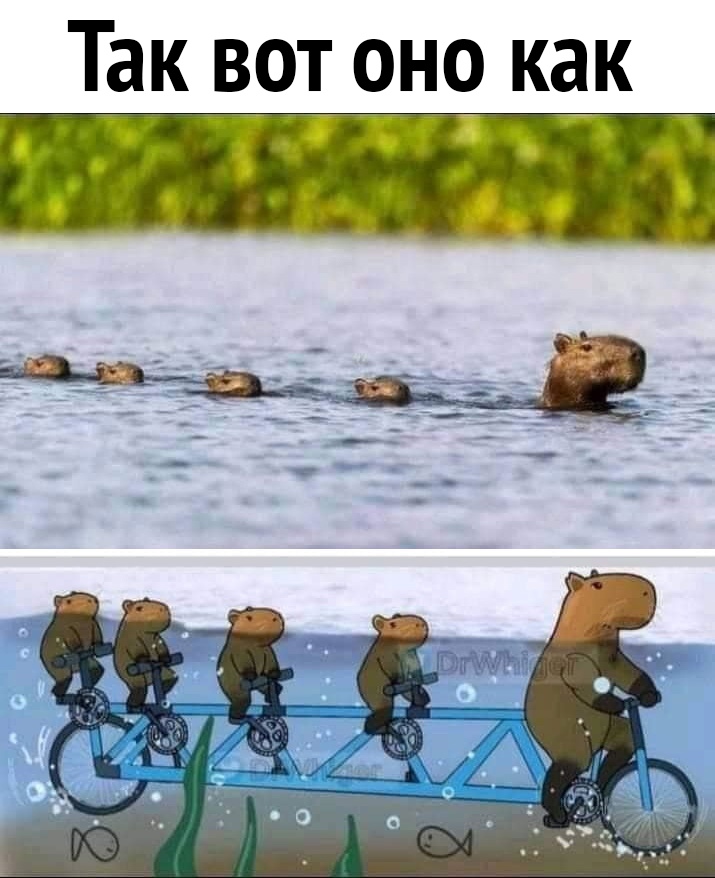 Так вот оно как