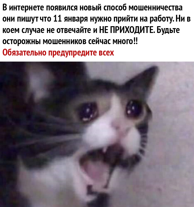 В интернете появился новый способ мошенничества они пишут что 11 января нужно прийти на работу Ни в коем случае не отвечайте и НЕ ПРИХОДИТЕ Будьте осторожны мошенников сейчас много