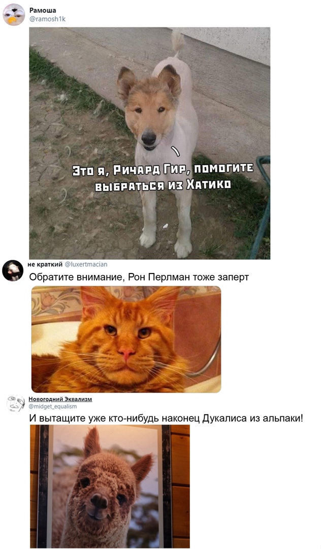 Эти и Ричпппыідир ппмпгитв вынпитьпя и Хптикп е краткий _ Обратите внимание Рон Перлман тоже заперт нпыциий эшли И вытащите уже кто нибудь наконец Дукалиса из апьпаки