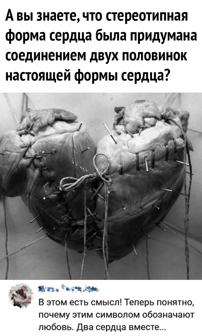 А вы знаете что стереотипная форма сердца была придумана соединением двух половинок настоящей формы сердца Ё нЧЭй Ь В этом есть смысл Теперь понятно почему этим символом обозначают любовь Два сердца вместе