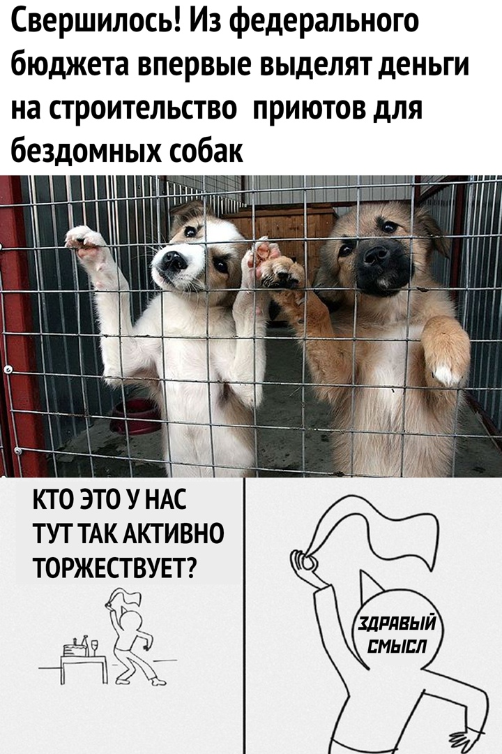 Свершилось Из федерального бюджета впервые выделят деньги на строительство приютов для бездомных собак пишиш ___ _ _ ТУТ ТАК АКТИВНО ТОРЖЕСТВУЕТ ы СМЫСЛ