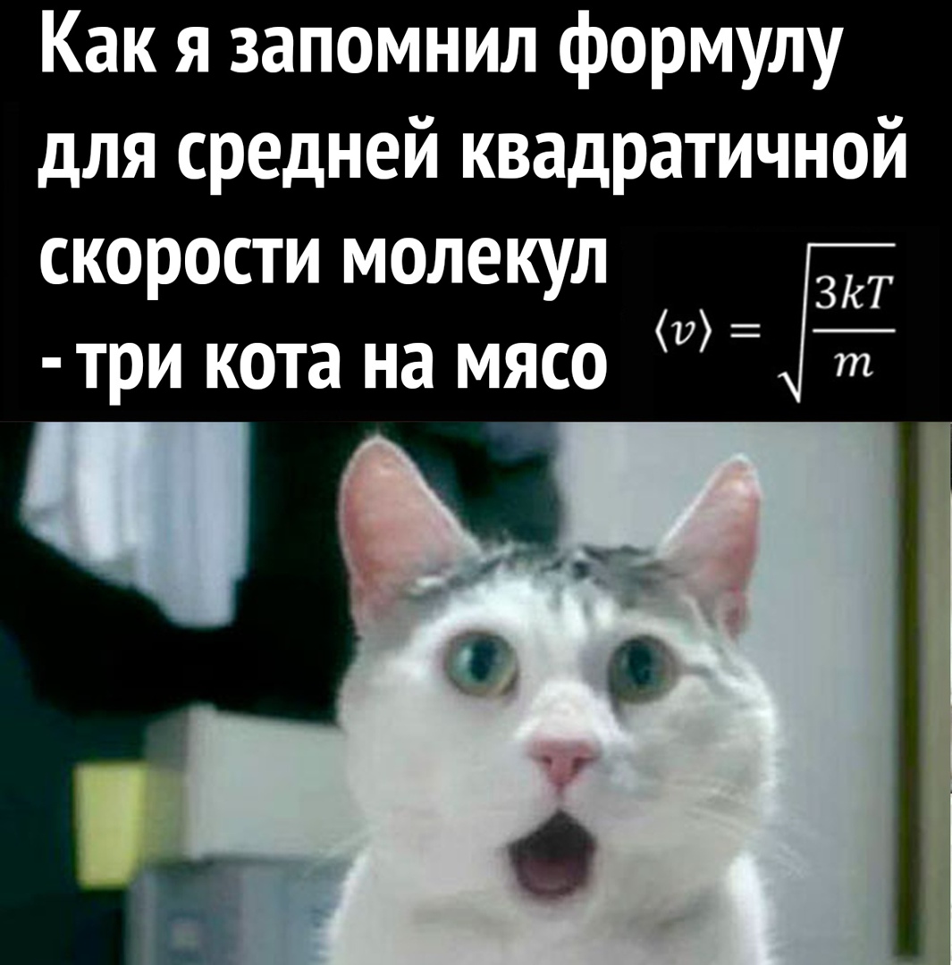Как я запомнил формулу для средней квадратичной скорости молекул три кота на мясо