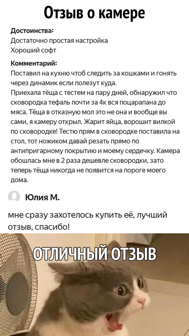 Отзыв о камере досгои нсгва достаточно простая настройка Хороший софт Комментарий Поставил на кухню чтоб следить за кошками и гонять через динамик если полезут куда Приехала тёща с тестем на пару дней обнаружил что сковородка тефаль почти за 4к вся поцарапана до мяса Теща в отказную мол это не она и вообще вы сами я камеру открыл Жарит яйца ворошит вилкой по сковородке Тестю прям в сковородке пост