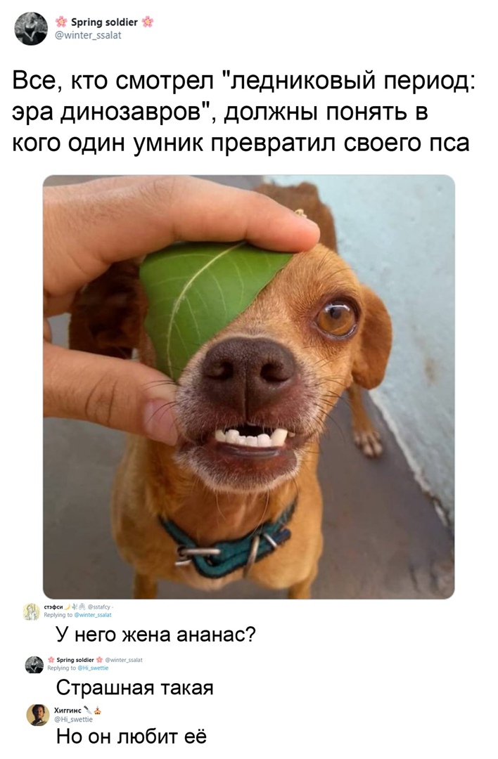 5ргіп9 ягшіег Все кто смотрел ледниковый период эра динозавров должны понять в кого один умник превратил своего пса У него жена ананас Страшная такая Но он любит её