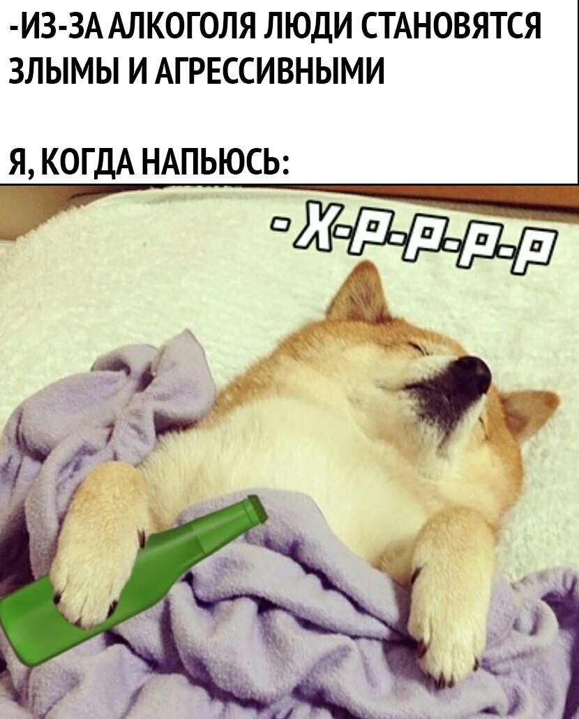 И3 3А АЛКОГОЛЯ ЛЮДИ СТАНОВЯТСЯ ЗЛЫМЫ И АГРЕССИВНЫМИ Я КОГДА НАПЬЮСЬ