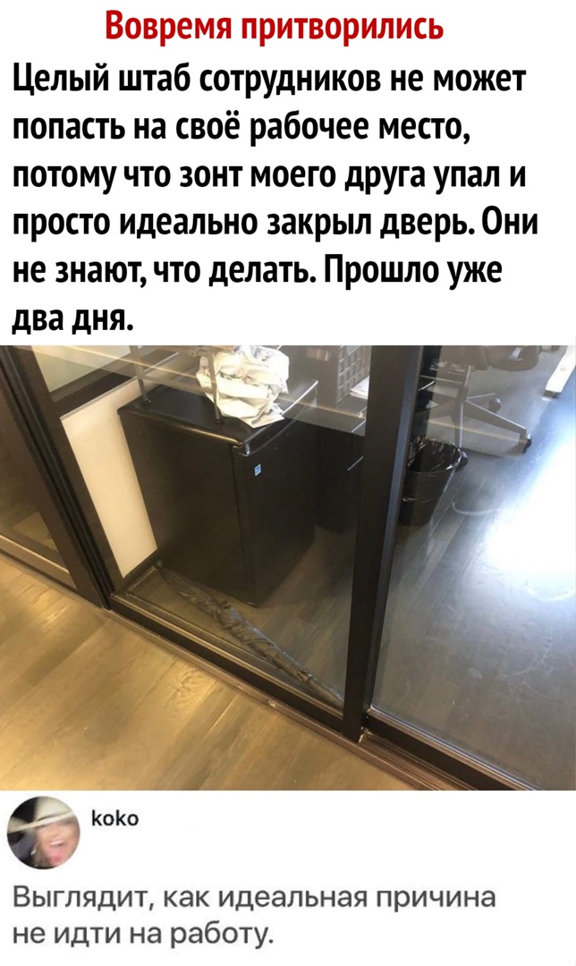 Целый штаб сотрудников не может попасть на своё рабочее место потому что зонт моего друга упал и просто идеально закрыл дверь Они не знают что делать Прошло уже два дня 1 КоКо Выглядит как идеальная причина не идти на работу