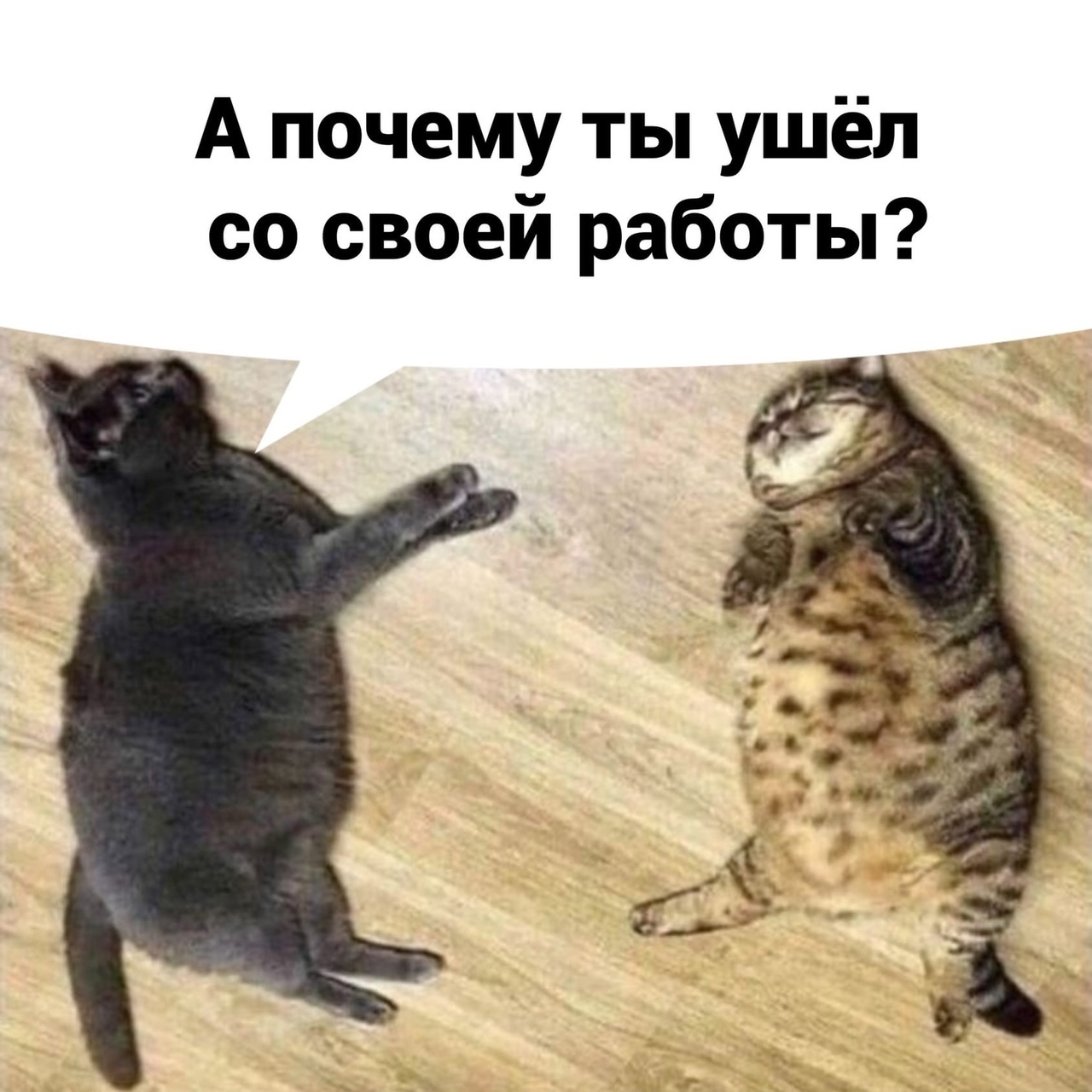 А почему ты ушёл со своей работы