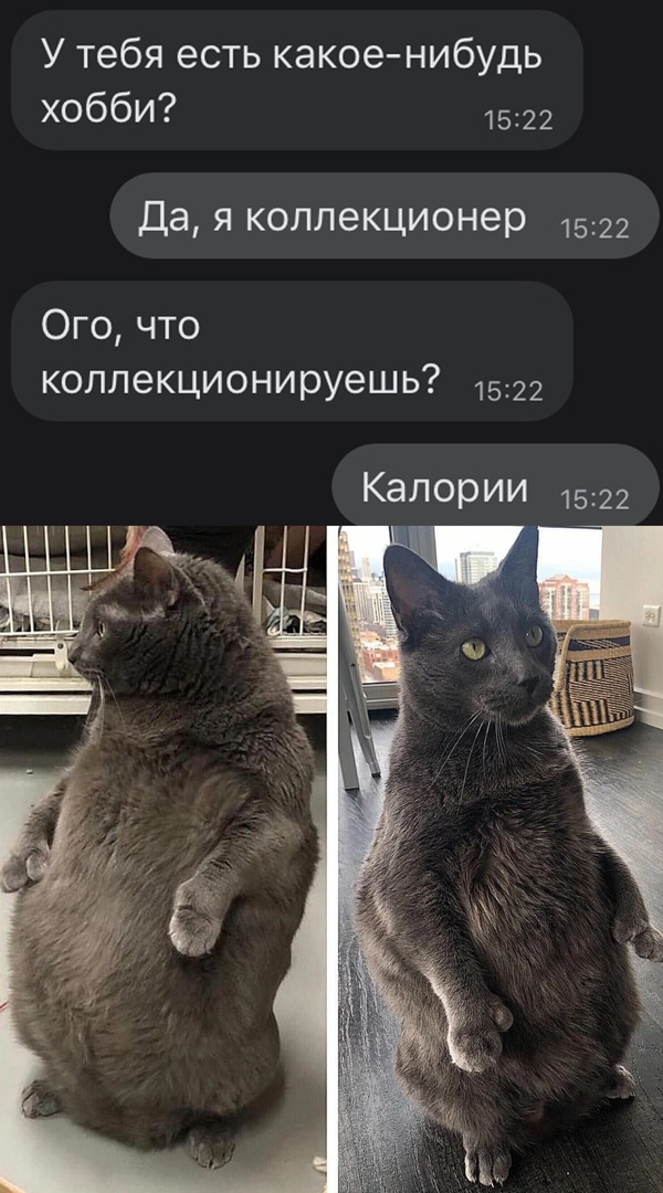 У тебя есть какоенибудь хобби 1522 Да я коллекционер 1522 Ого что коллекционируешь 1522 Калории 1522