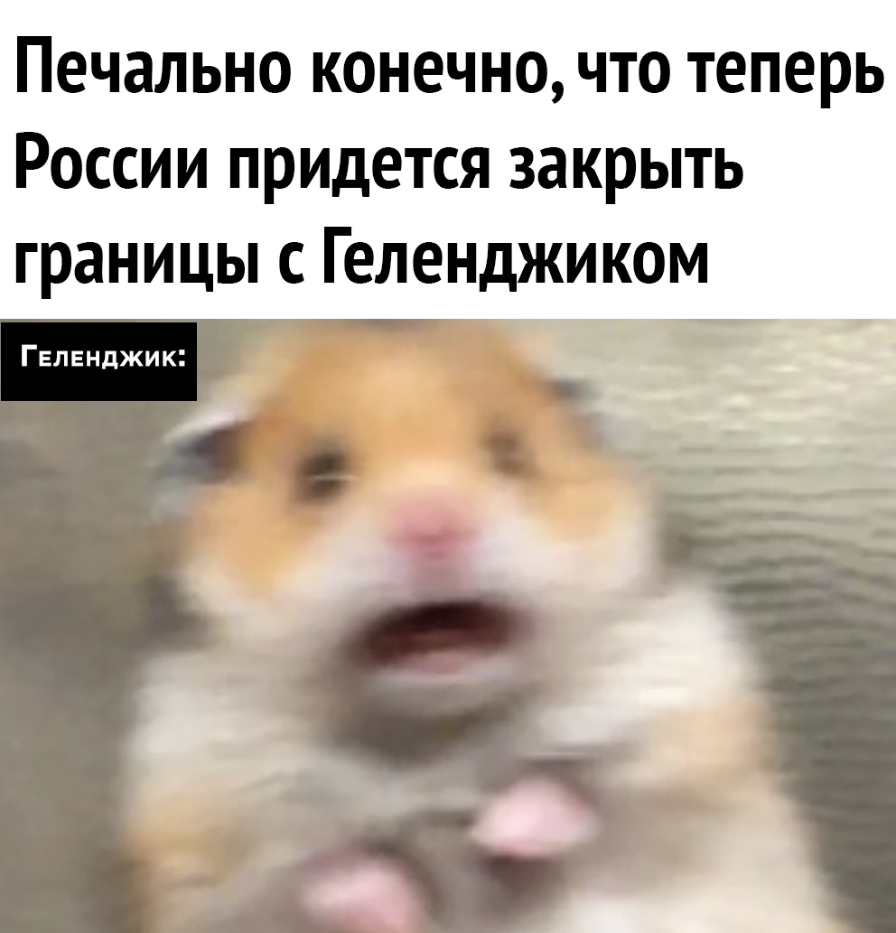 Печально конечно что теперь России придется закрыть границы с Геленджиком