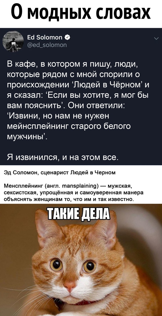 Юмор шредингера. Кот Шредингера юмор. Шутки про кота Шредингера. Кот Шредингера Мем. Кот Шрёдингера простыми словами.