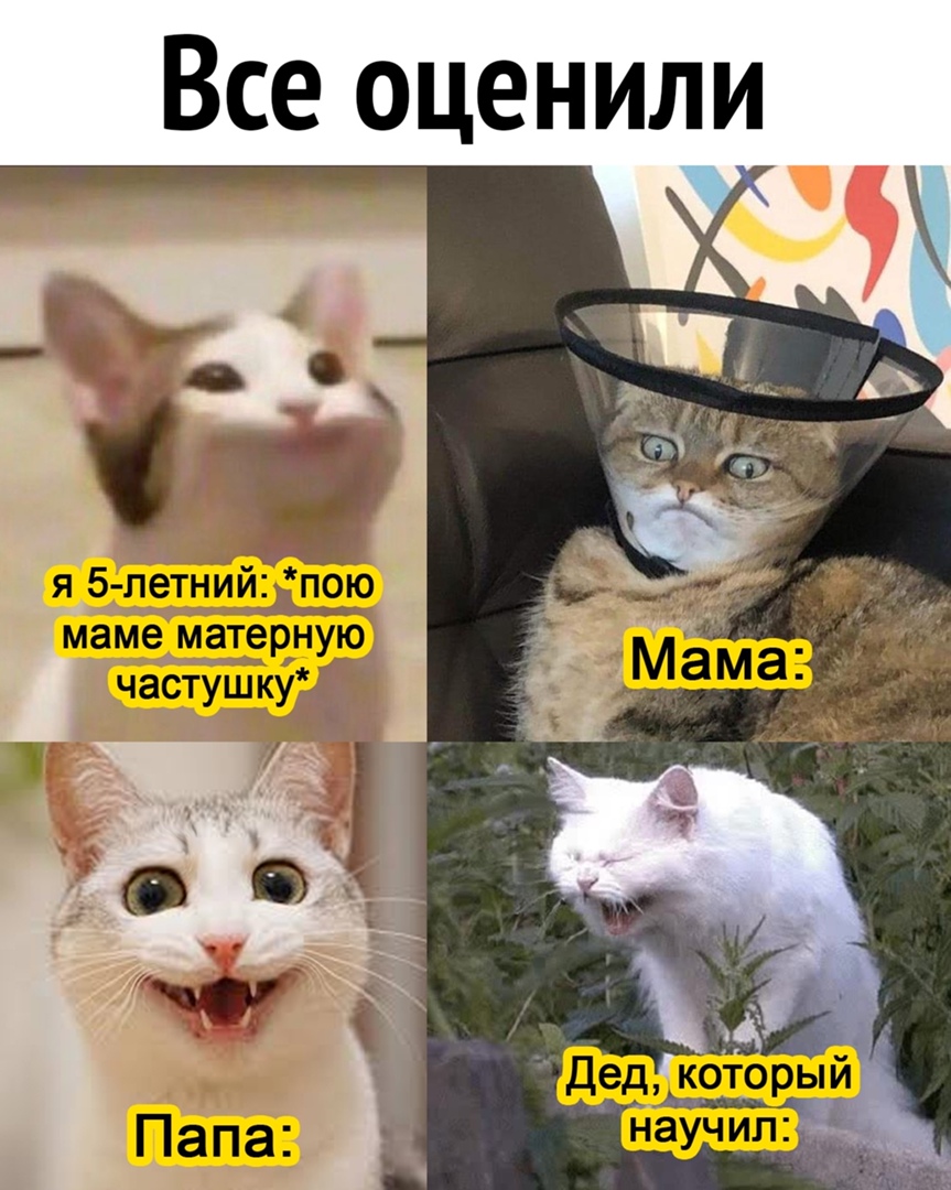 и Л и н е ц о е С В