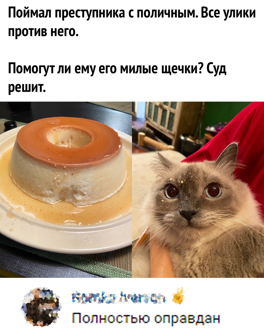 Поймал преступника с поличным Все улики против него Помогут ли ему его милые щечки Суд решит ищё Чат с ПОЛНОСТЬЮ оправдан