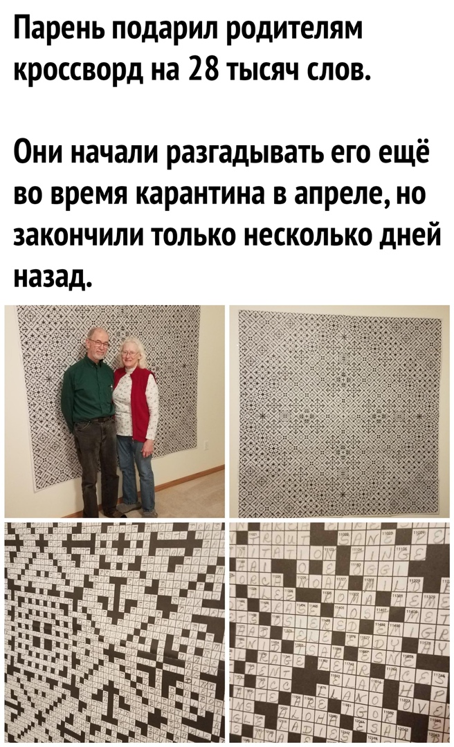 Парень подарил родителям кроссворд на 28 тысяч слов Они начали разгадывать его ещё во время карантина в апреле но закончили только несколько дней назад