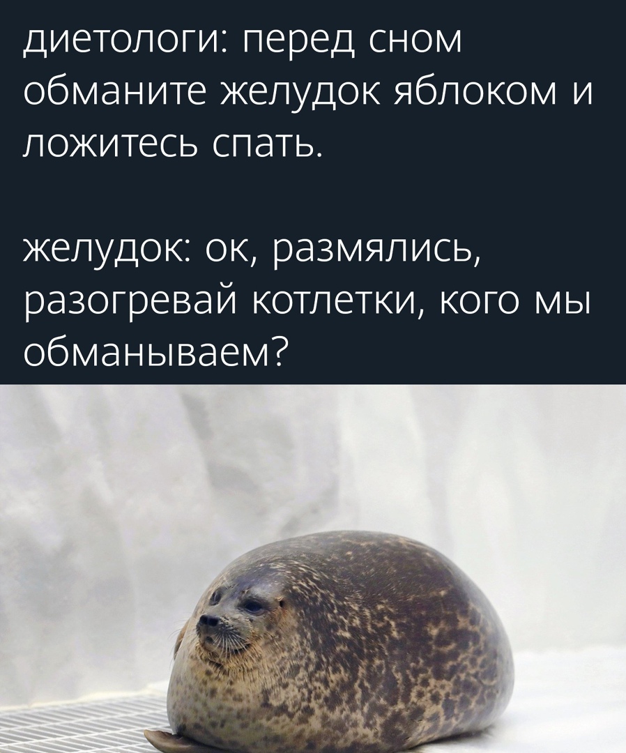диетологи перед сном обманите желудок яблоком и ложитесь спать желудок ок размялись разогревай котлетки кого мы обманываем