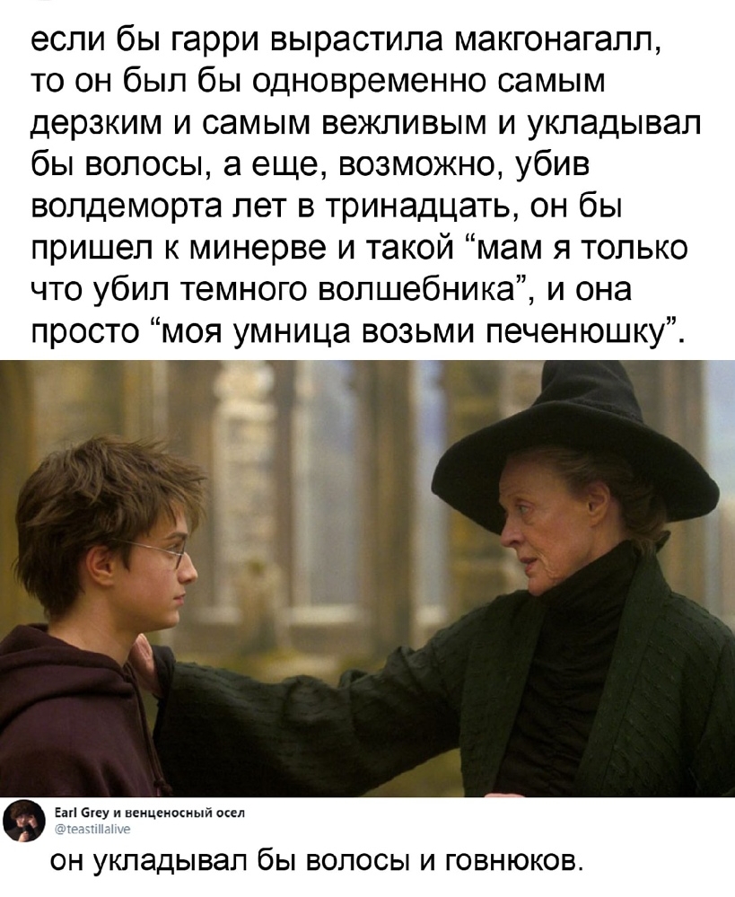 если бы гарри вырастила макгонагапп то он был бы одновременно самым дерзким и самым вежливым и укладывал бы волосы а еще возможно убив вопдеморта лет в тринадцать он бы пришел к минерве и такой мам я только что убил темного волшебника и она просто моя умница возьми печенюшку Еап біеу и неицвиосный осел ОН УКПЭДЫВЭП бЫ ВОЛОСЫ И ГОВНЮКОВ