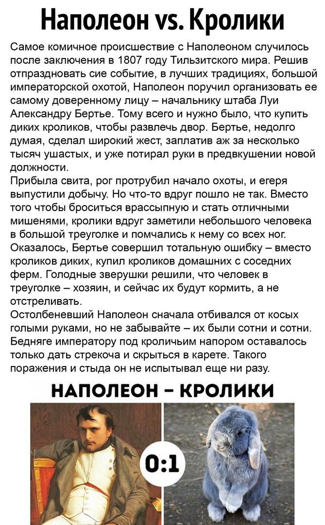 Наполеон уз Кролики Самое комичное происшествие с Наполеоном случилось после заключения в 1807 году Тильзитского мира Решив отпраздновать сие событие в лучших традициях большой императорской охотой Наполеон поручил организовать ее самому доверенному лицу начальнику штаба Луи Александру Бертье Тому всего и нужно было что купить диких кроликов чтобы развлечь двор Бертье недолго думая сделал широкий 