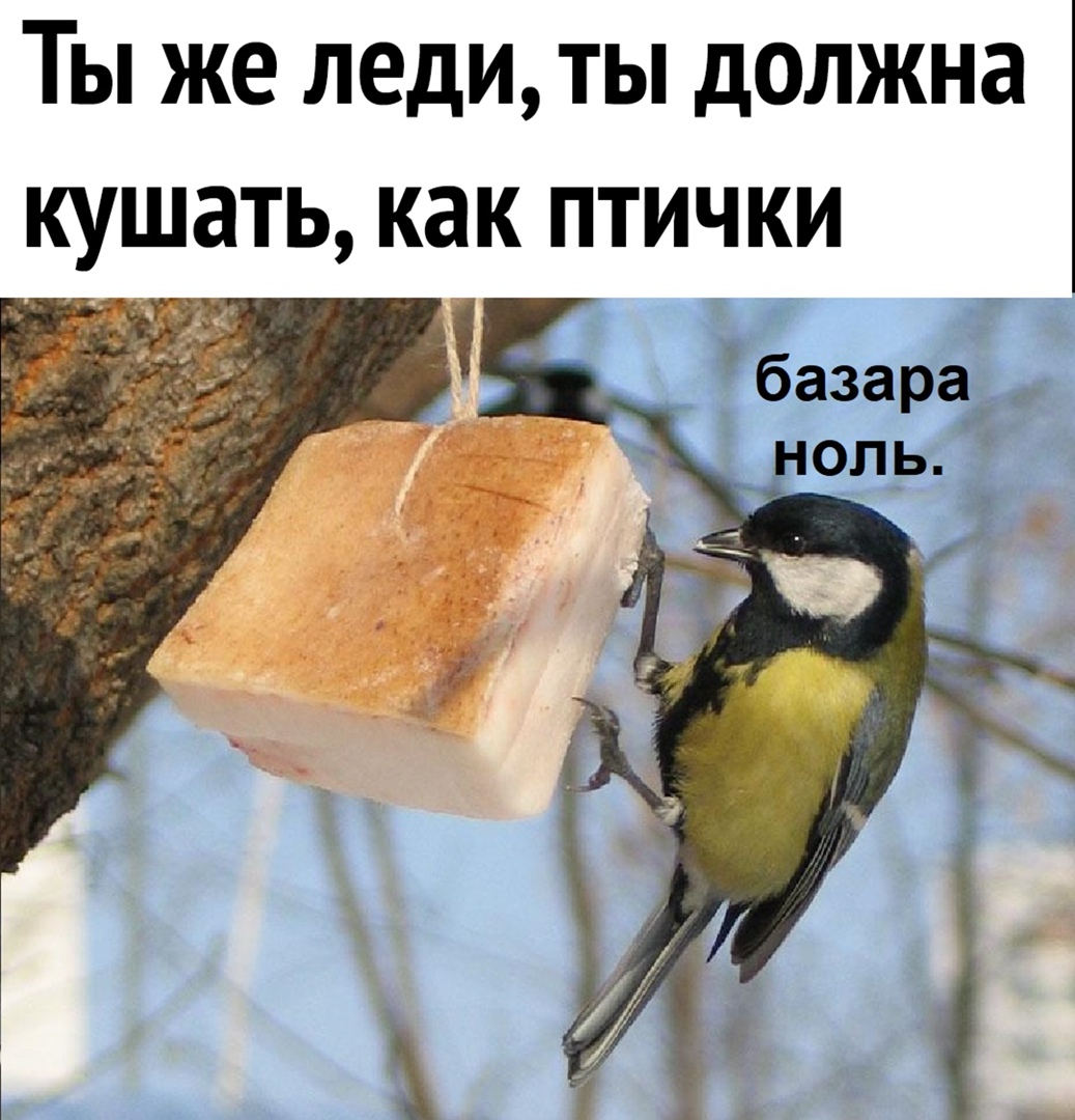 Ты же леди ты должна кушать как птички