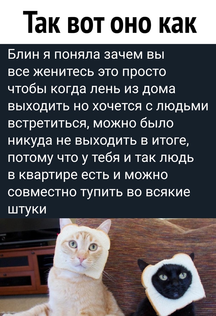Так вот оно как Блин я поняла зачем вы все женитесь это просто чтобы когда лень из дома выходить но хочется с людьми встретиться можно было никуда не выходить в итоге потому что у тебя и так людь в квартире есть и можно совместно тупить во всякие штуки