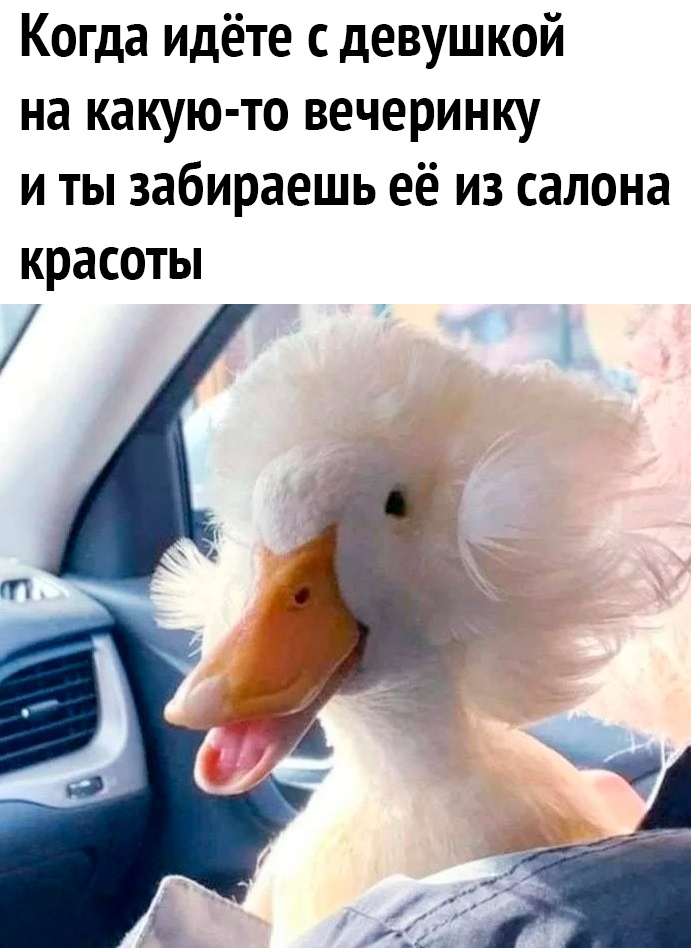 Когда идёте с девушкой на какую то вечеринку и ты забираешь её из салона красоты