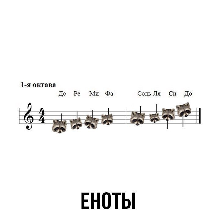 дъаазён ЕНОТЫ