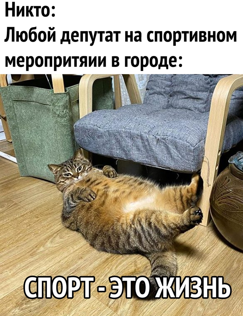 Никто Любой депутат на спортивном меропритяии в городе